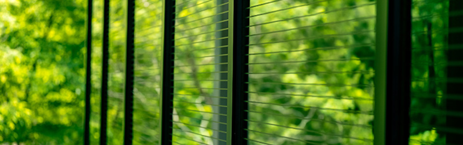 Anti-Bird Strike Window Film: A Simple Fix for a Serious Building Problem
