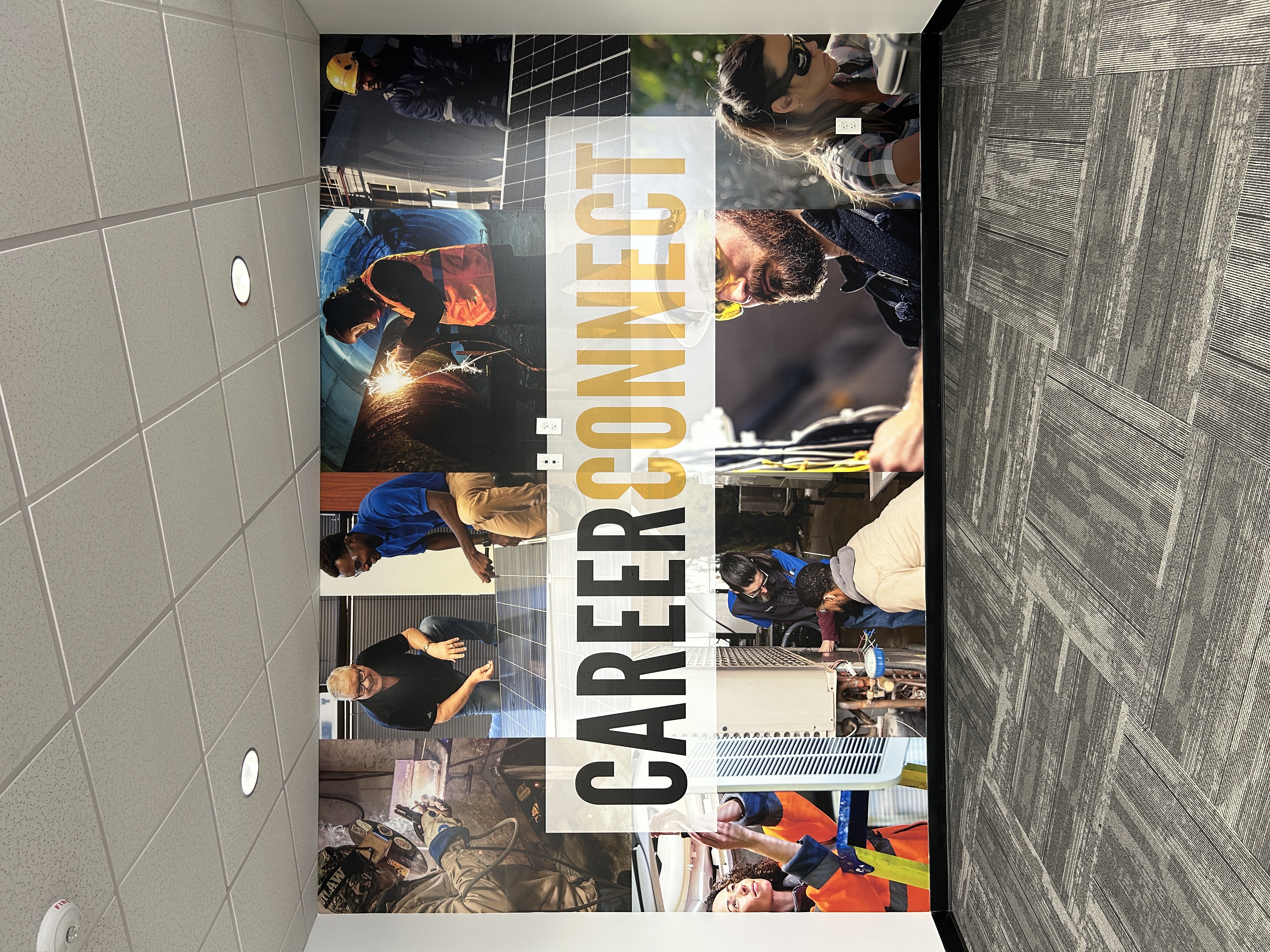 Wall Murals and Environmental Graphics: Turning Dead Space Into Your Best Marketing Asset